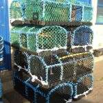 Bridlington harbour lobster pots. Coast