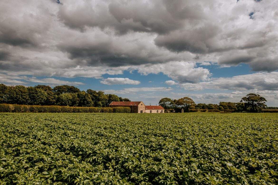 Cake and Hayloft, High Barn