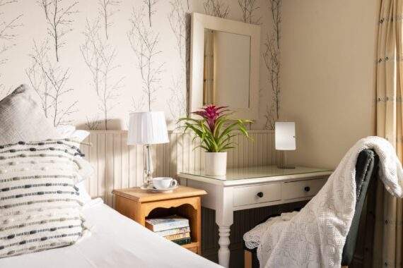 The Turnip House The Turnip House