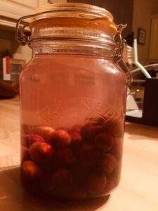 sloe gin
