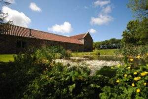 The wildlife pond, Spinney and The Owl House