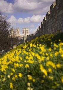 York City Walls Springtime